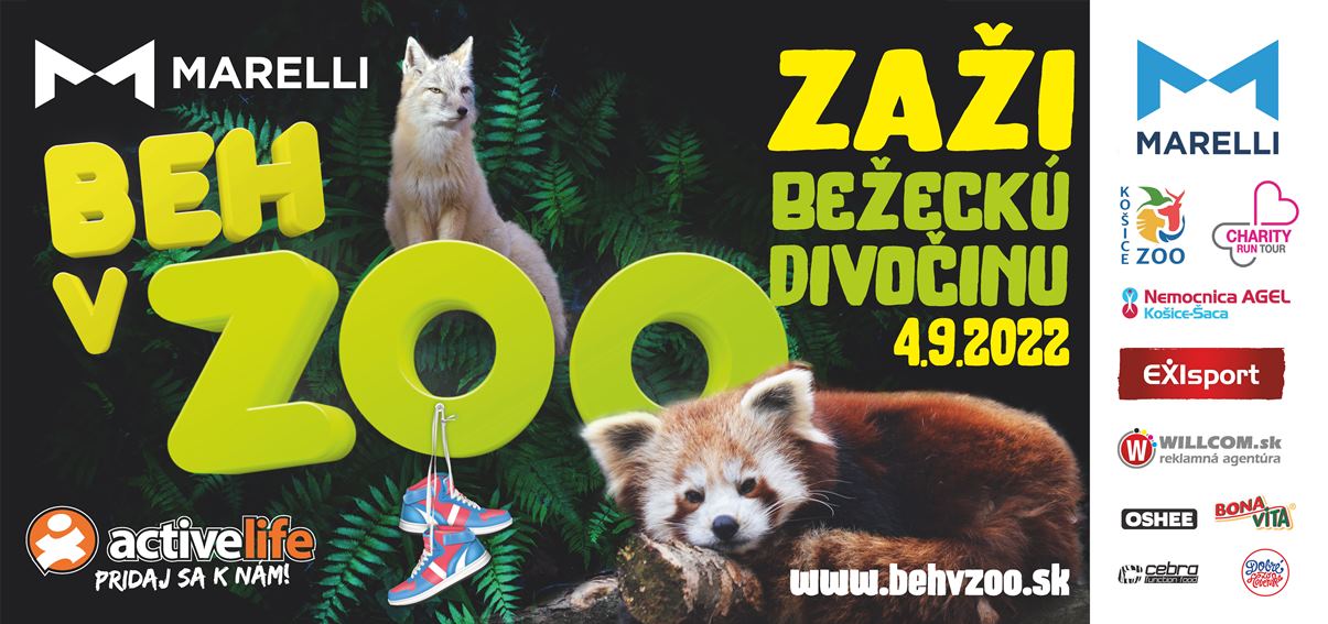 active-life-beh-v-zoo-2022